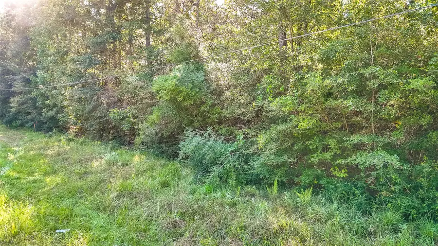 TBD 28 Timbergrove, Livingston, TX 77351 - #3