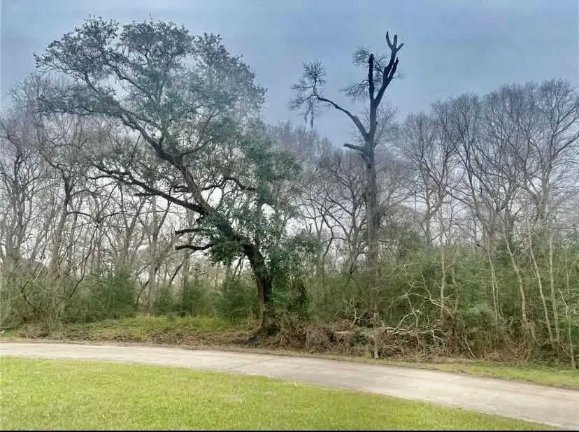 1232 Chuckwagon Court, Angleton, TX 77515 - Image #1