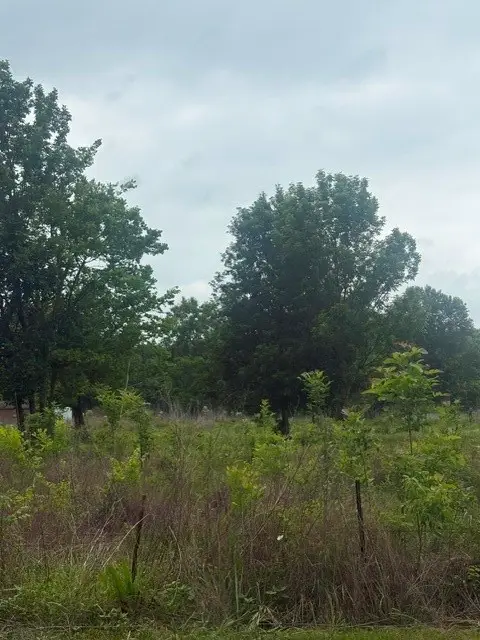 0 County Road 2500, Liberty, TX 77575 - #3