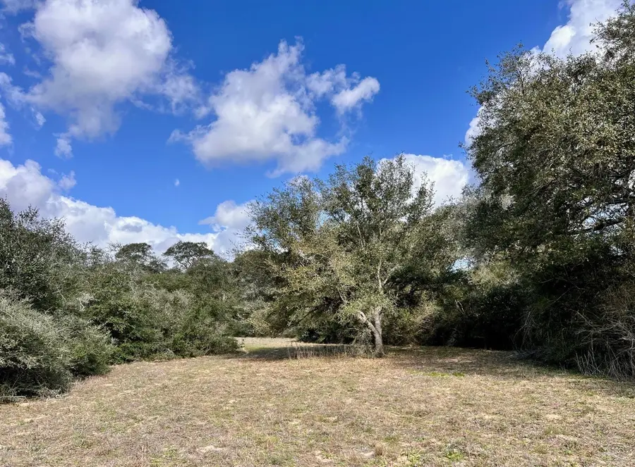 11 Acres Loose Cow Rd, Garwood, TX 77442 - #3