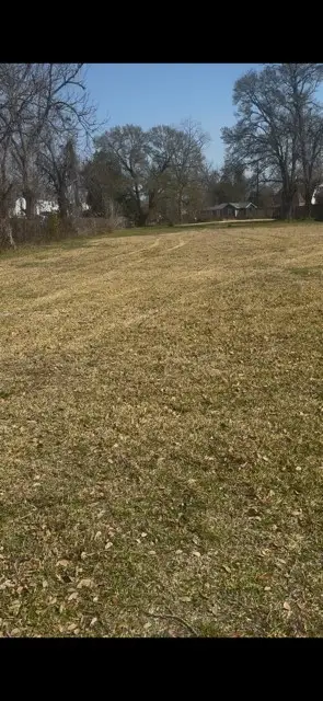 6533 Maybell Street, Houston, TX 77091 - #3