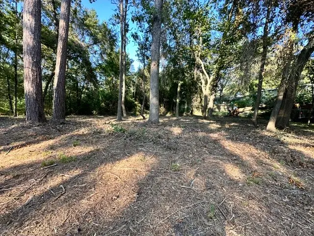 00 Kickapoo Trail, Willis, TX 77378 - Image #1