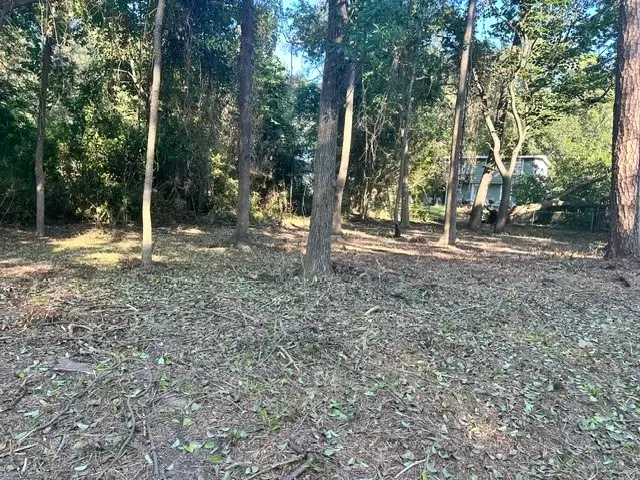 00 Kickapoo Trail, Willis, TX 77378 - Image #2