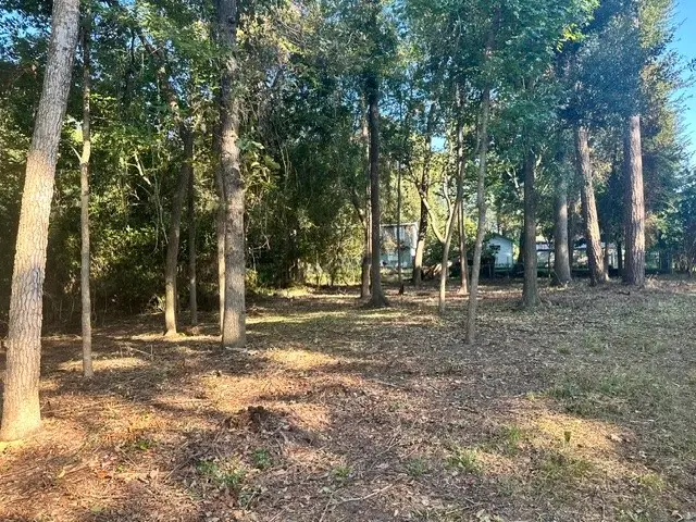 00 Kickapoo Trail, Willis, TX 77378 - Image #3