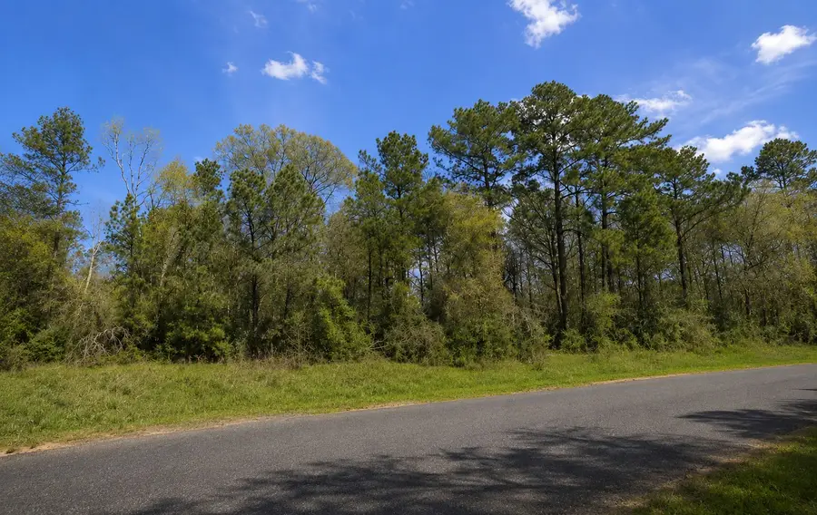 178 Rustic Ranch Drive, New Waverly, TX 77340 - #3