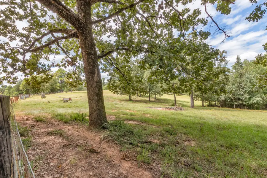 1505 County Road 2135, Crockett, TX 75835 - Image #3