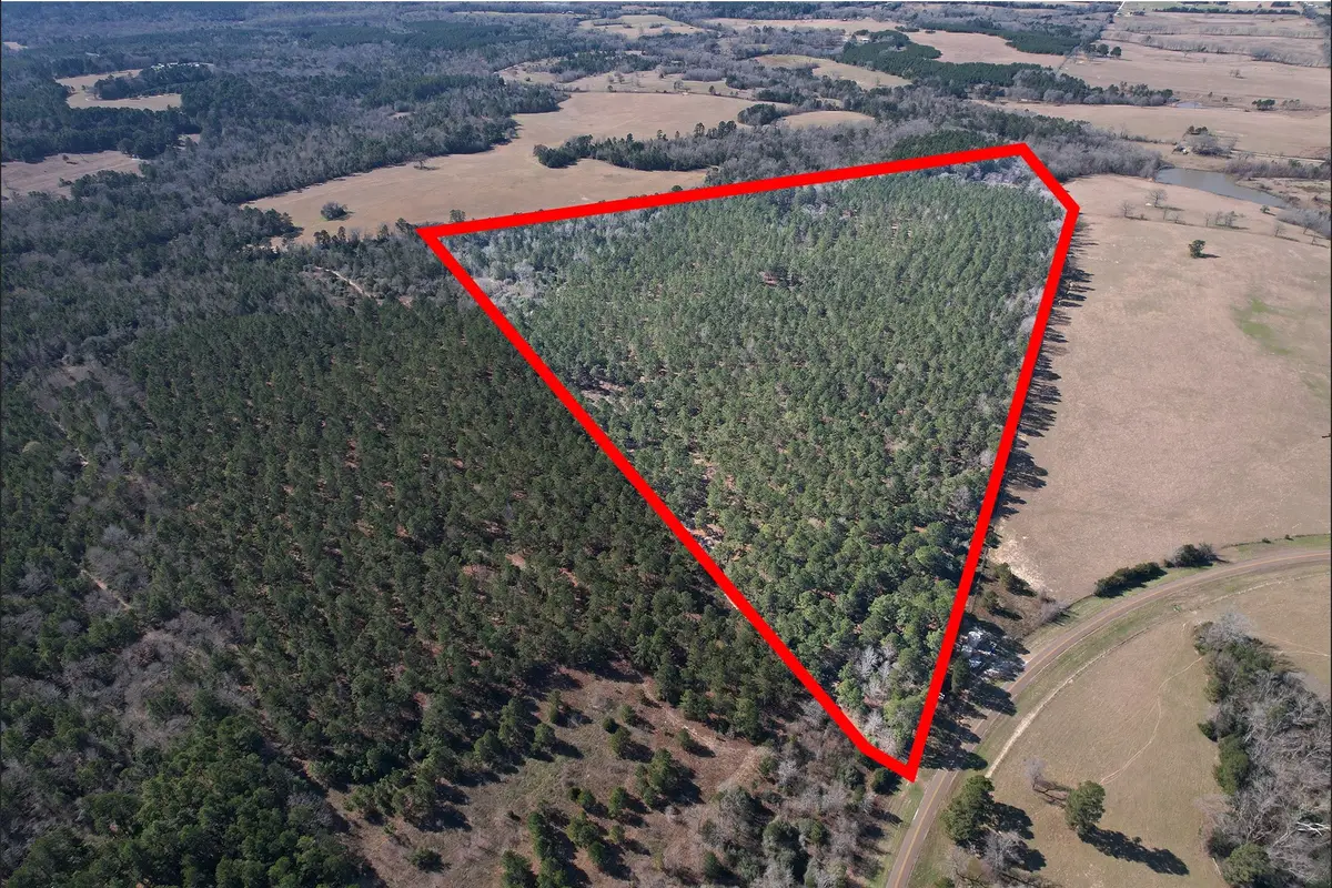 000 Fm 3016, Grapeland, TX 75844 - Image #1