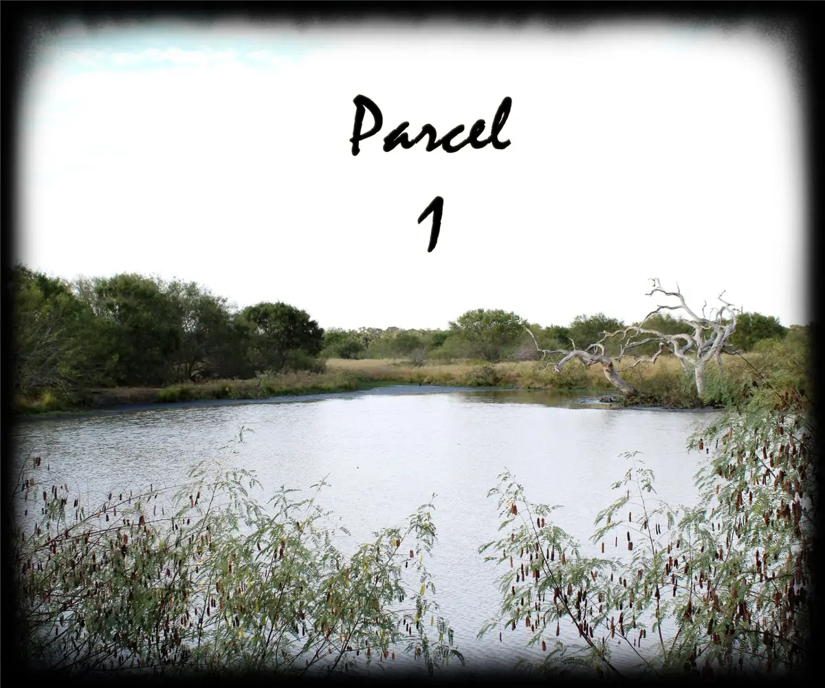 Parcel 1 Lobo Lane, Columbus, TX 78934 - Image #1