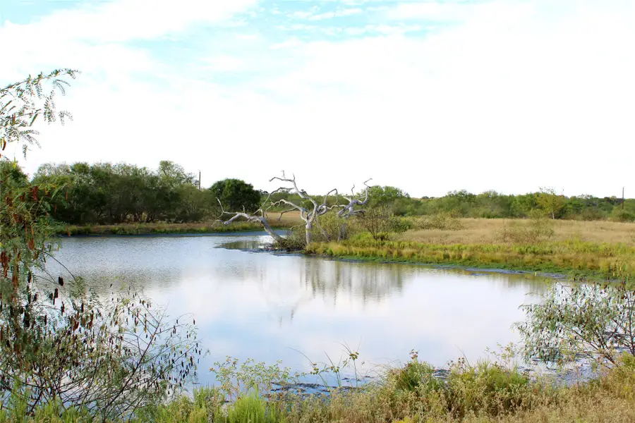 Parcel 1 Lobo Lane, Columbus, TX 78934 - Image #2