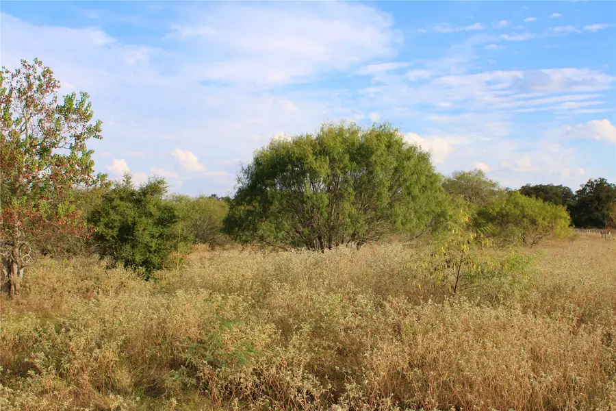 Parcel 1 Lobo Lane, Columbus, TX 78934 - Image #3