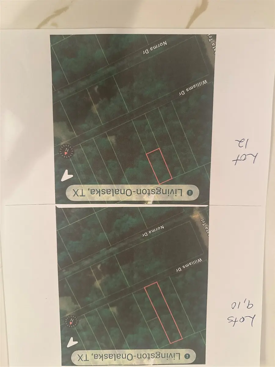 TBD Williams Drive, Livingston, TX 77351 - Image #3