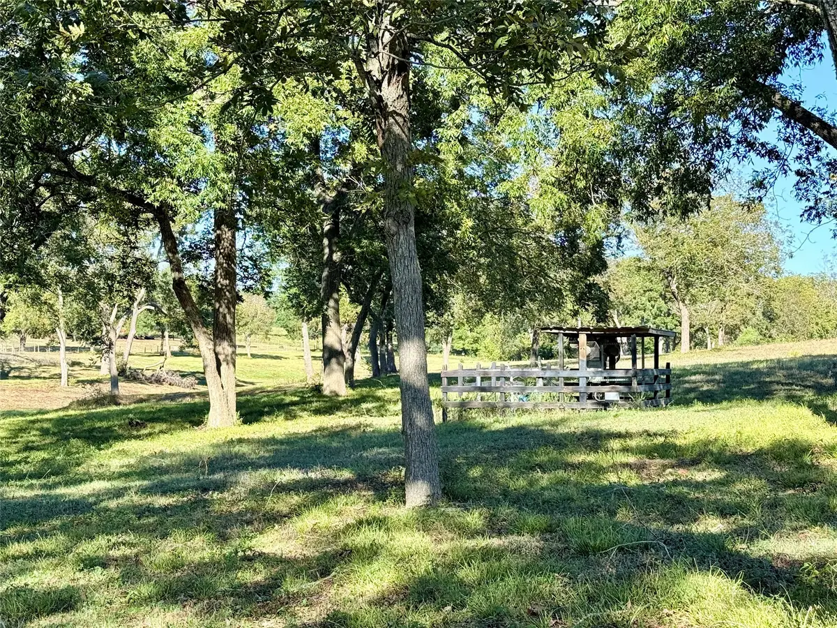 TBD Sunshine Court, Chappell Hill, TX 77426 - Image #1