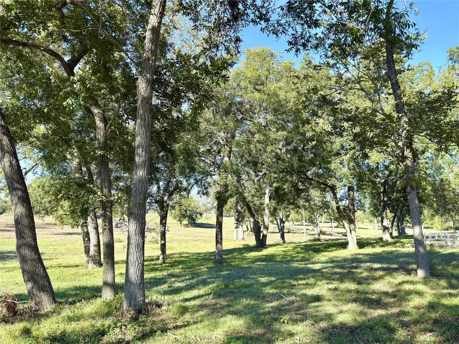 TBD Sunshine Court, Chappell Hill, TX 77426 - Image #3