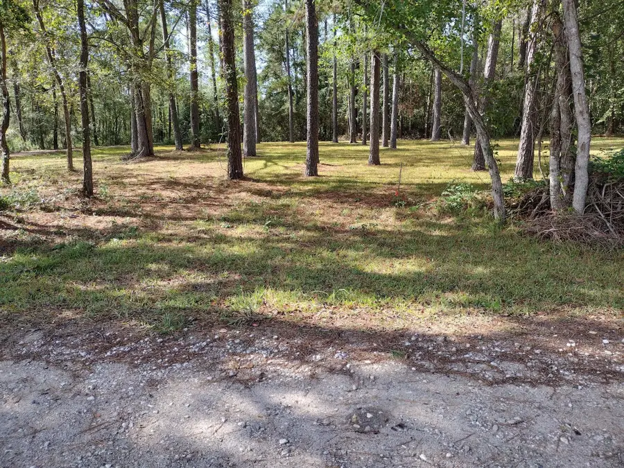 0 Barbil Lane, Huffman, TX 77336 - #2