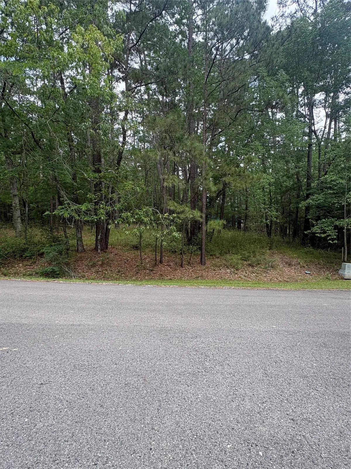 78 Wentworth Lane, Coldspring, TX 77331 - #1