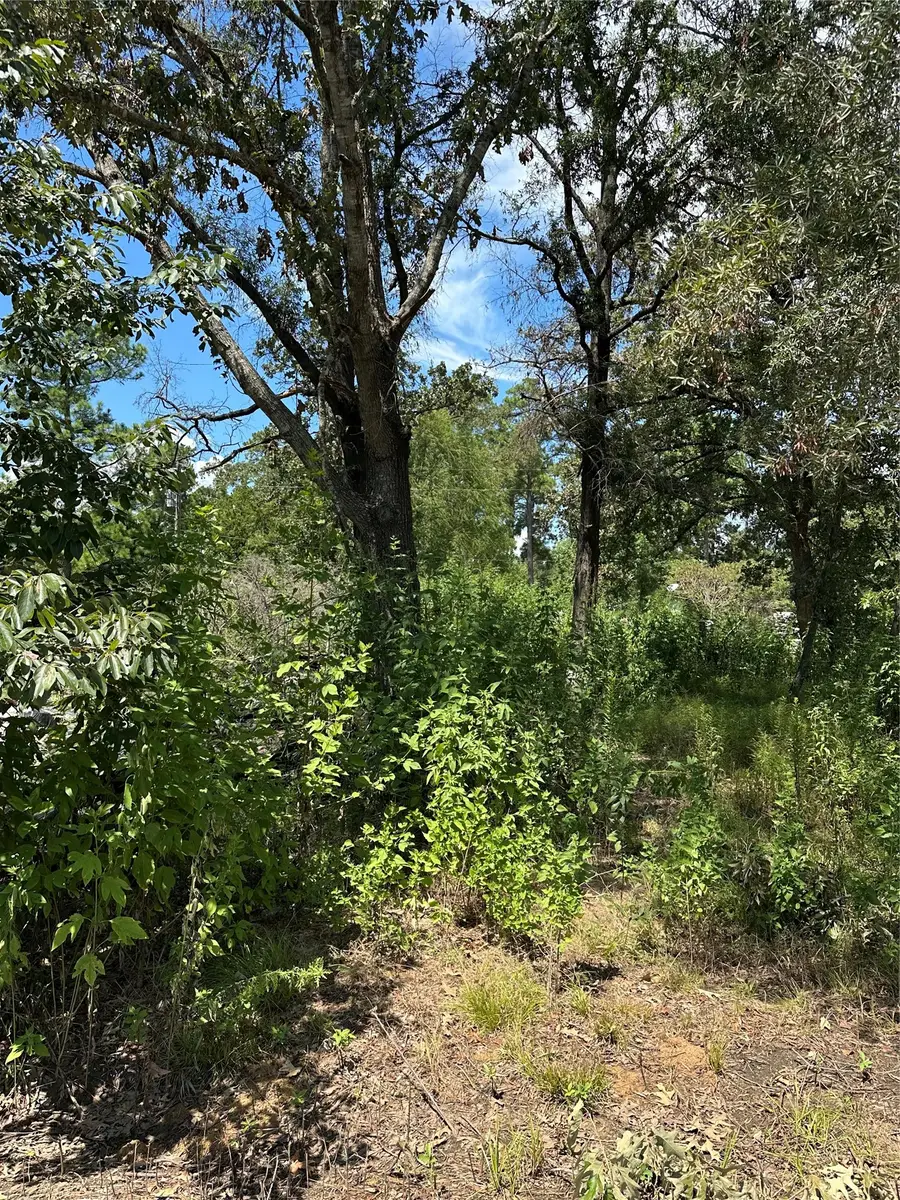 389 E Sherwood Drive, Livingston, TX 77351 - #3