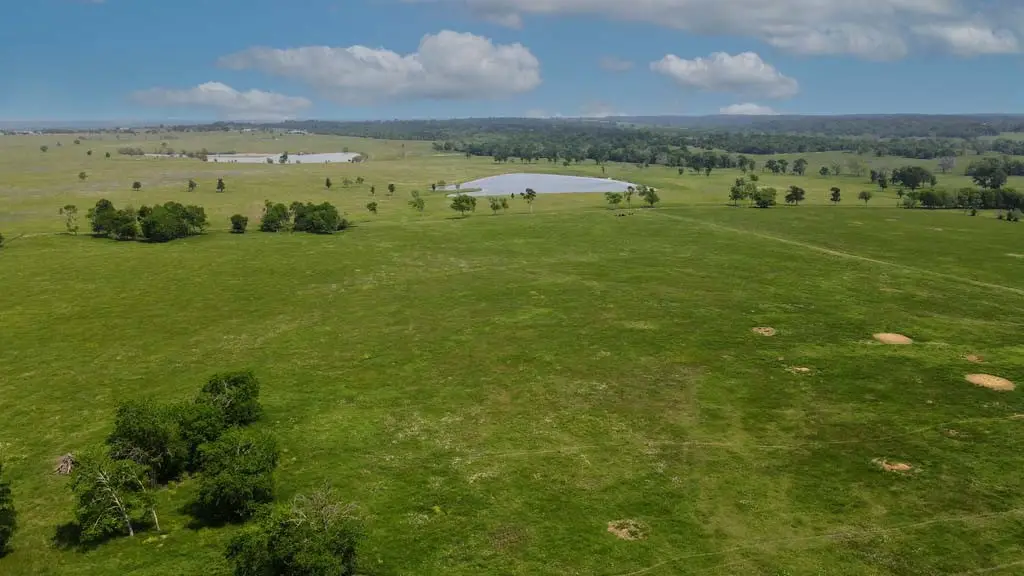 Tract# 2 Cr 305 Road, Navasota, TX 77868 - #1