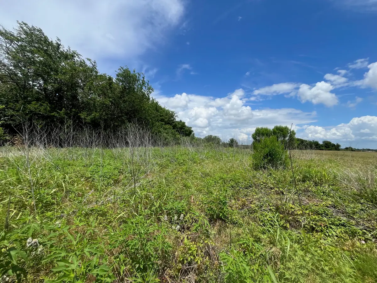 636 Fm 2436, La Grange, TX 78945 - #1