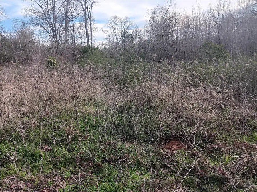 00 W Eilenstein Street, Palestine, TX 75803 - #2