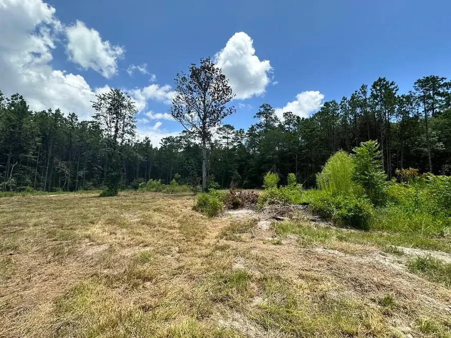 TBD County Road 4210, Woodville, TX 75979 - Image #2