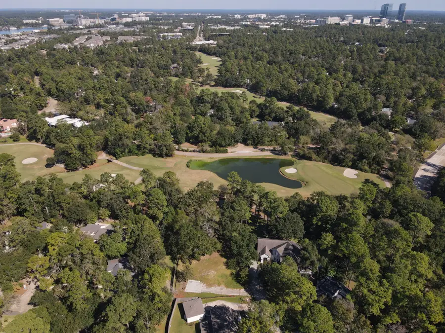 10816 Colony Wood Place, The Woodlands, TX 77380 - Image #2