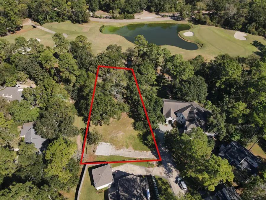 10816 Colony Wood Place, The Woodlands, TX 77380 - Image #3