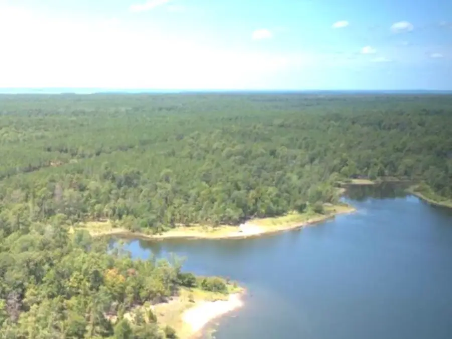 688 Private Rd 7830, Broaddus, TX 75929 - Image #2