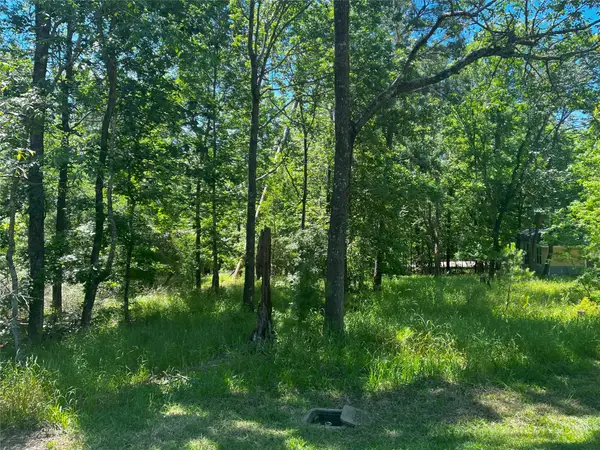 15 Cherry Hills Drive, Coldspring, TX 77331