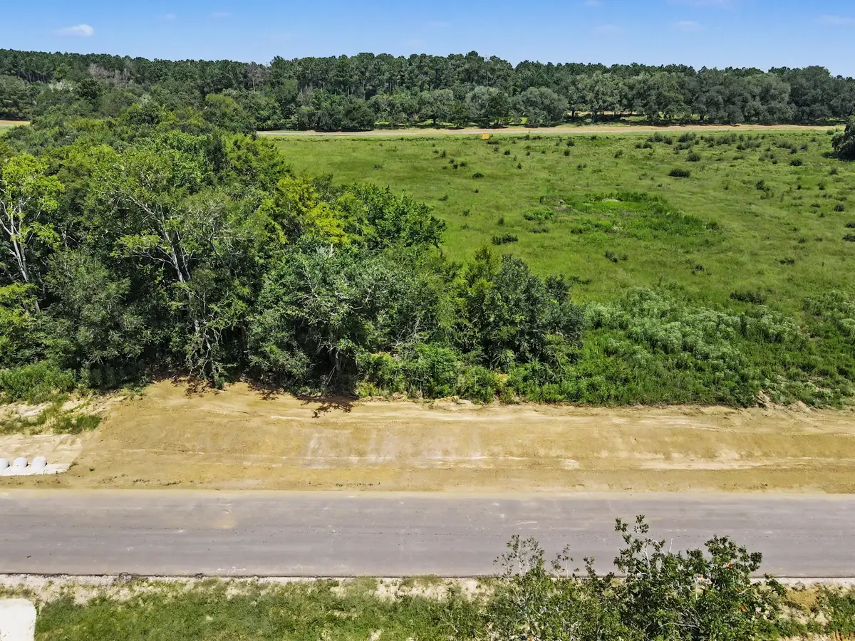 9735 Lakeside Oaks Dr, Plantersville, TX 77363 - #1