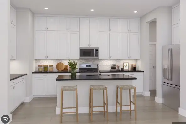 26239 Prairie Delight Place, Hockley, TX 77447 - #2