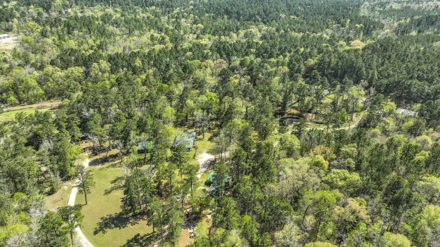 250 Critter Creek Road, Coldspring, TX 77331 - #3