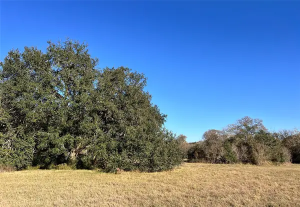 Lot 3 County Road 137, Caldwell, TX 77836