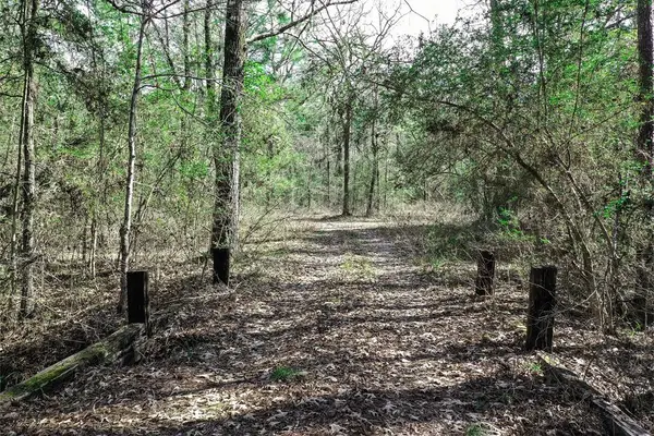 20 Ac Fm 980, Huntsville, TX 77320