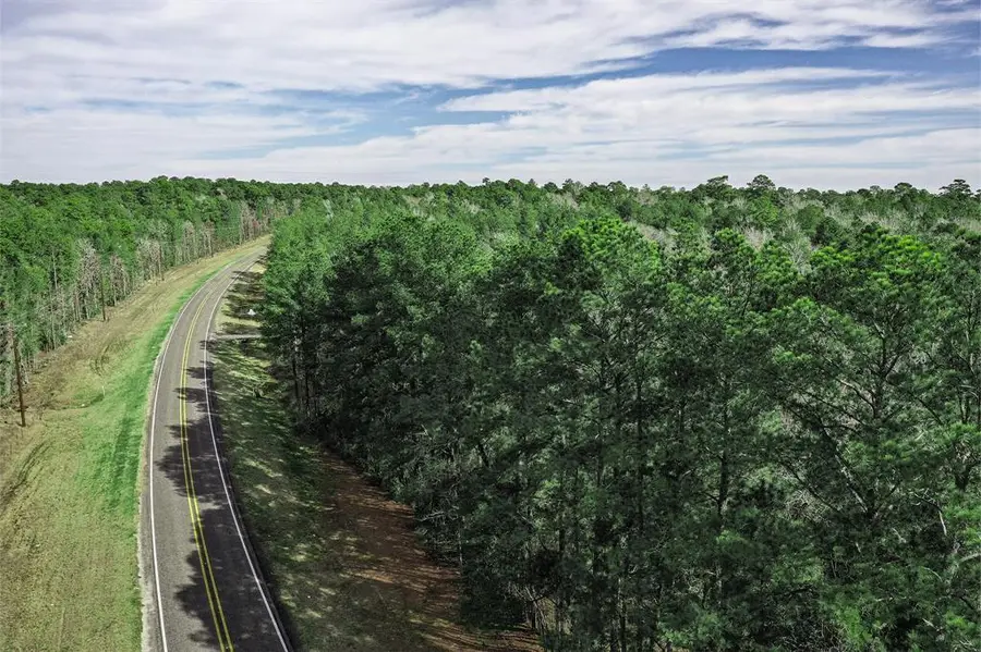 20 Ac Fm 980, Huntsville, TX 77320 - #2
