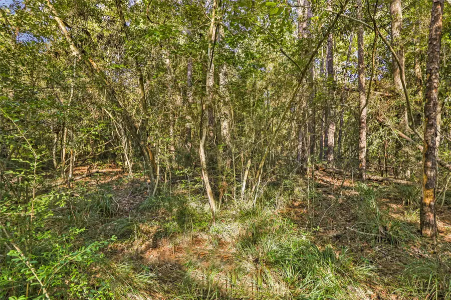 238 Kings Court, Dayton, TX 77535 - Image #3