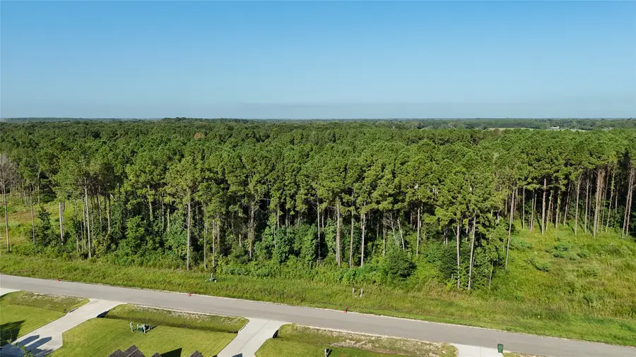 3171 Road 66125, Dayton, TX 77535 - #3