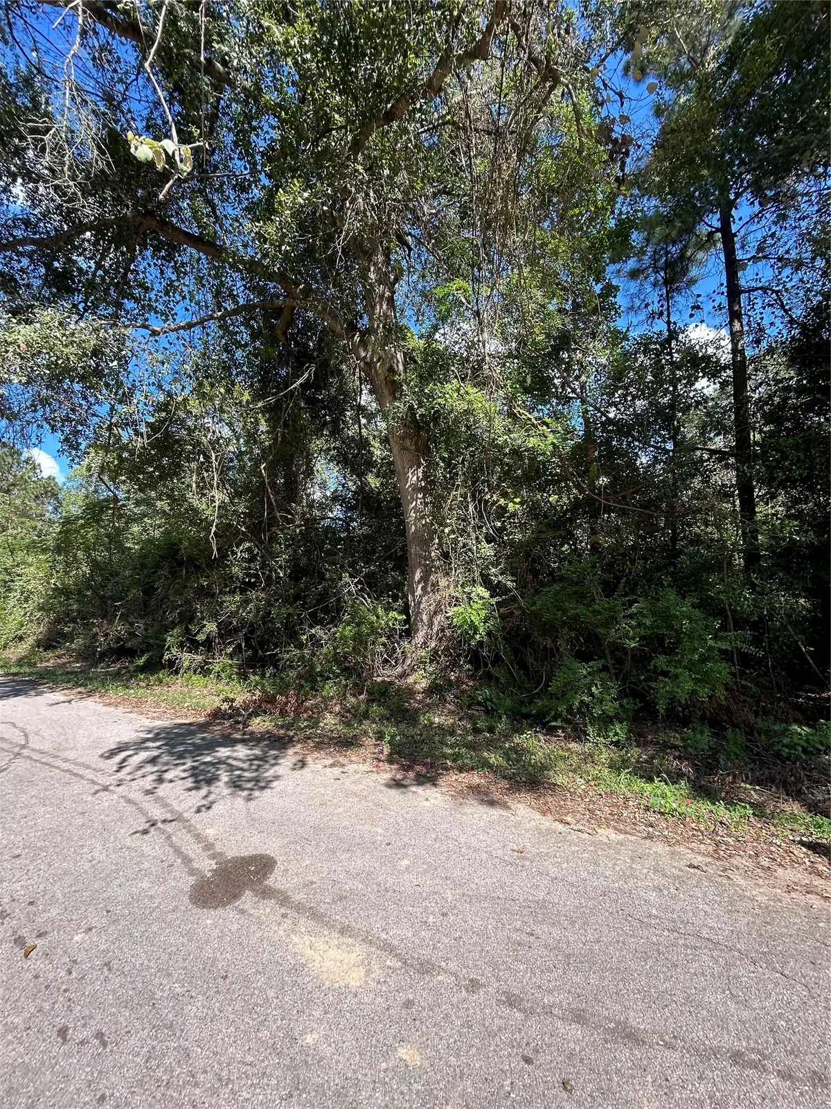 0 Myrtie Dr, Shepherd, TX 77371 - #1