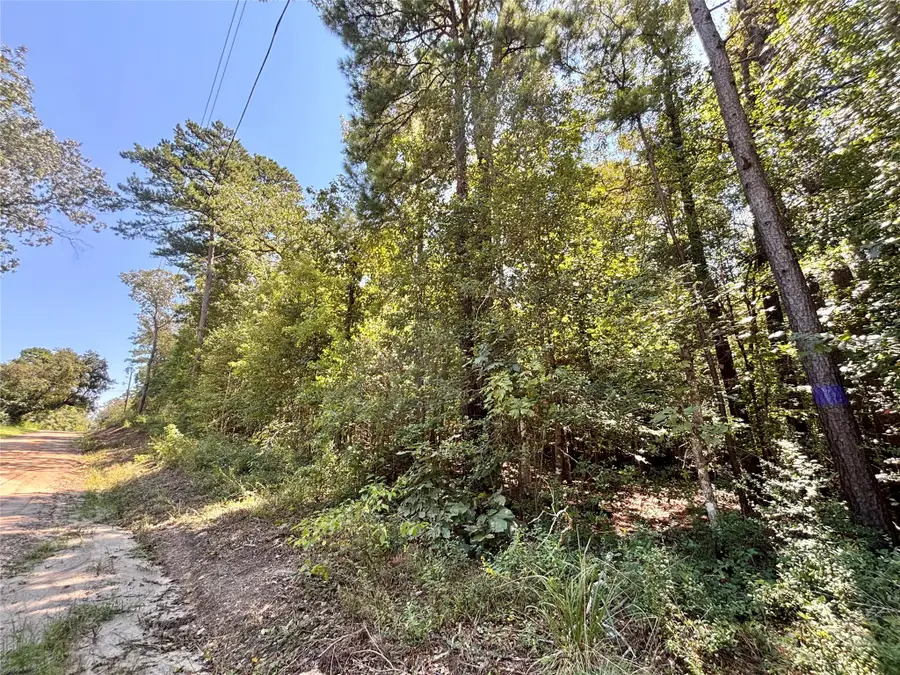 1273 County Road 3140, Colmesneil, TX 75938 - Image #2