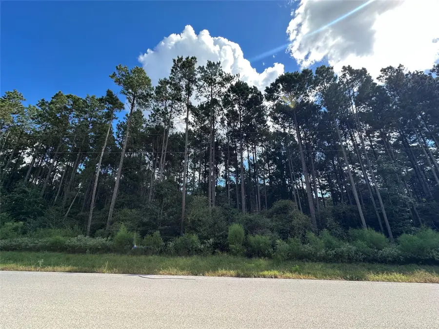 Lot 23 Blk 27 Lonestar Road, Huntsville, TX 77340 - Image #2