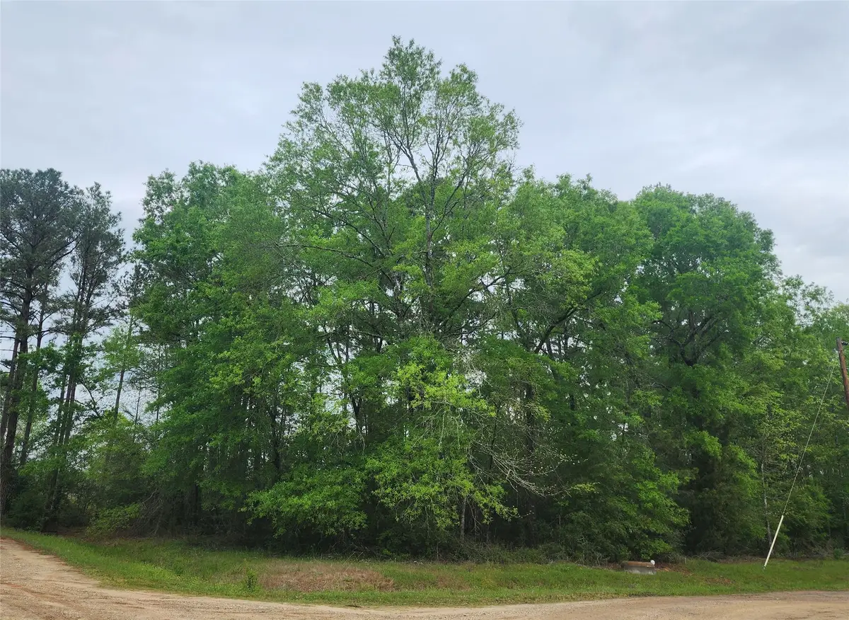 TBD Cloverdale, Livingston, TX 77351 - #1