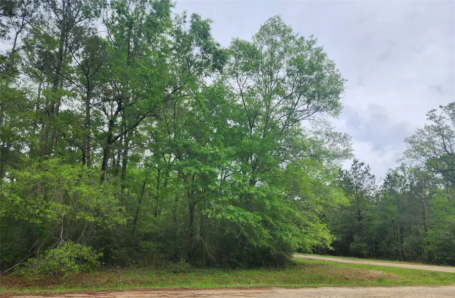 TBD Cloverdale, Livingston, TX 77351 - #2