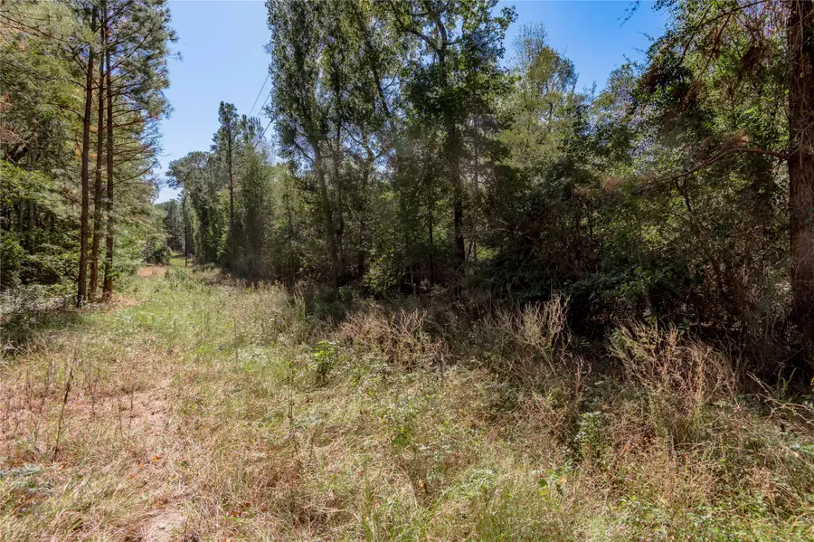 3.38 +/- Acres Arrowhead Drive, Huntsville, TX 77320 - #3