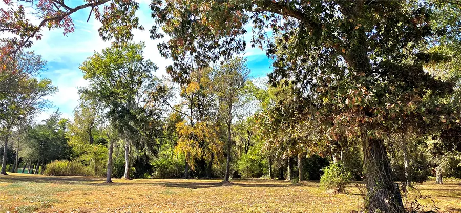131 Legacy Boulevard, Point Blank, TX 77364 - #3