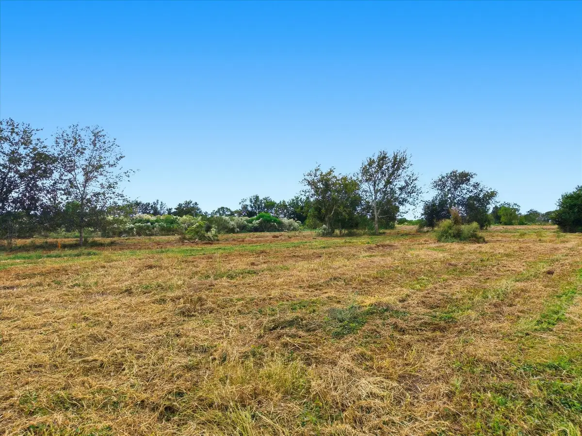 Lot 3 Cow Creek Road, Damon, TX 77430 - Image #1