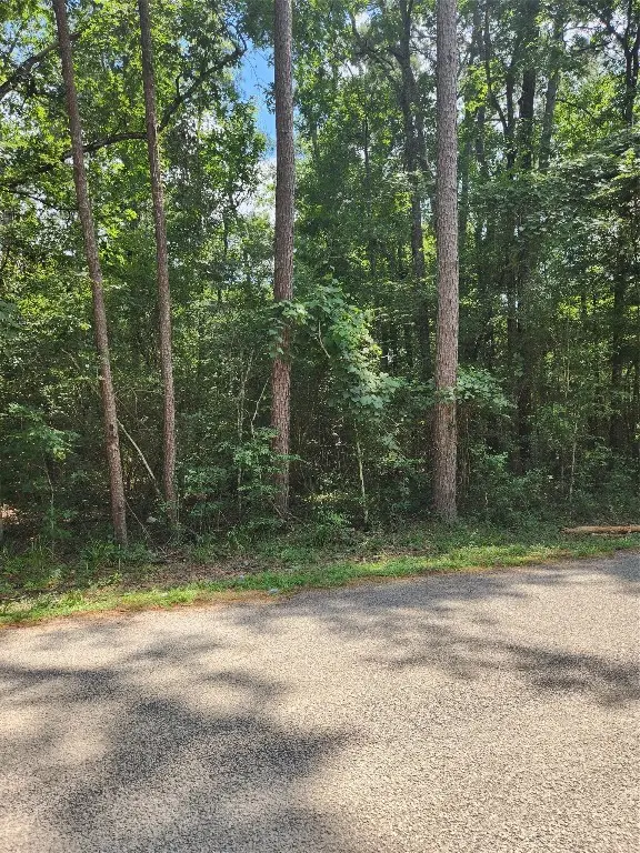 TBD County Road 373, Splendora, TX 77372