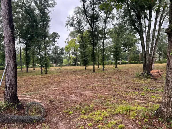 21844 Cherry Street, New Caney, TX 77357