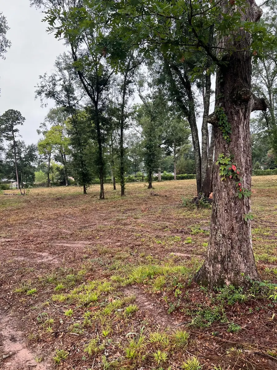 21844 Cherry Street, New Caney, TX 77357 - #2