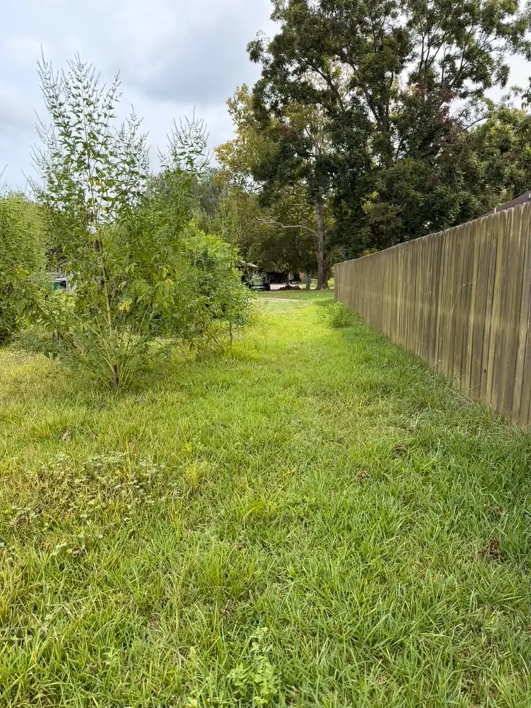 9511 Irby Street, Houston, TX 77088 - #2