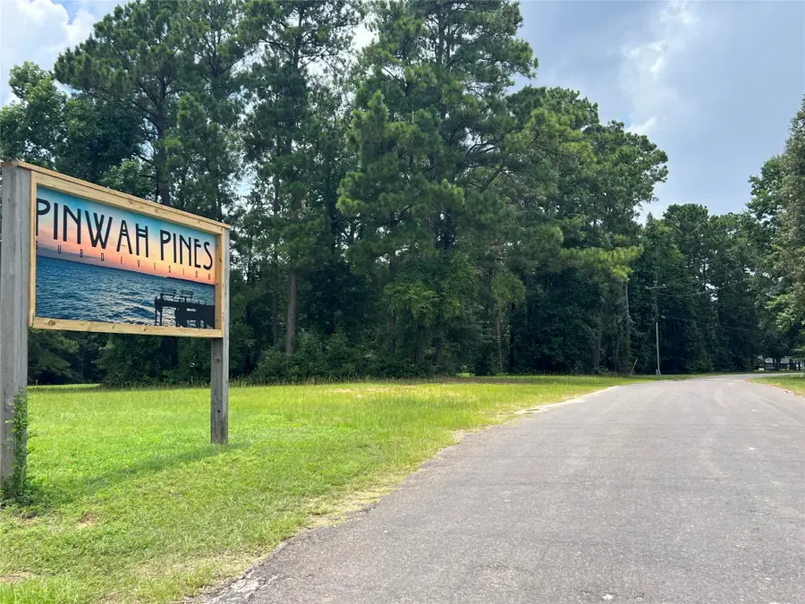 TR 28 Oak Pine Drive, Livingston, TX 77351 - #2