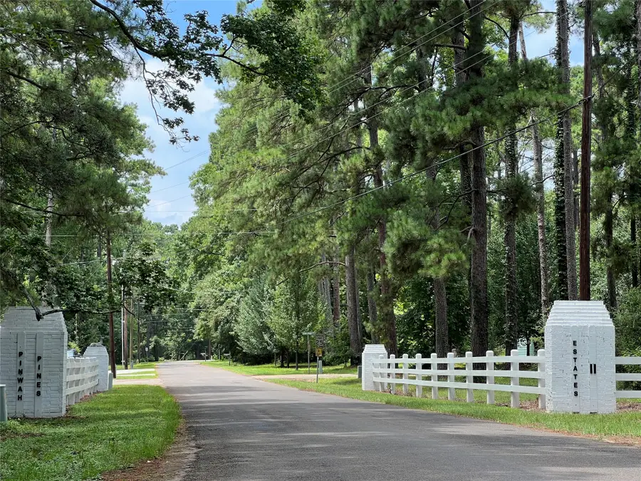 TR 28 Oak Pine Drive, Livingston, TX 77351 - #3